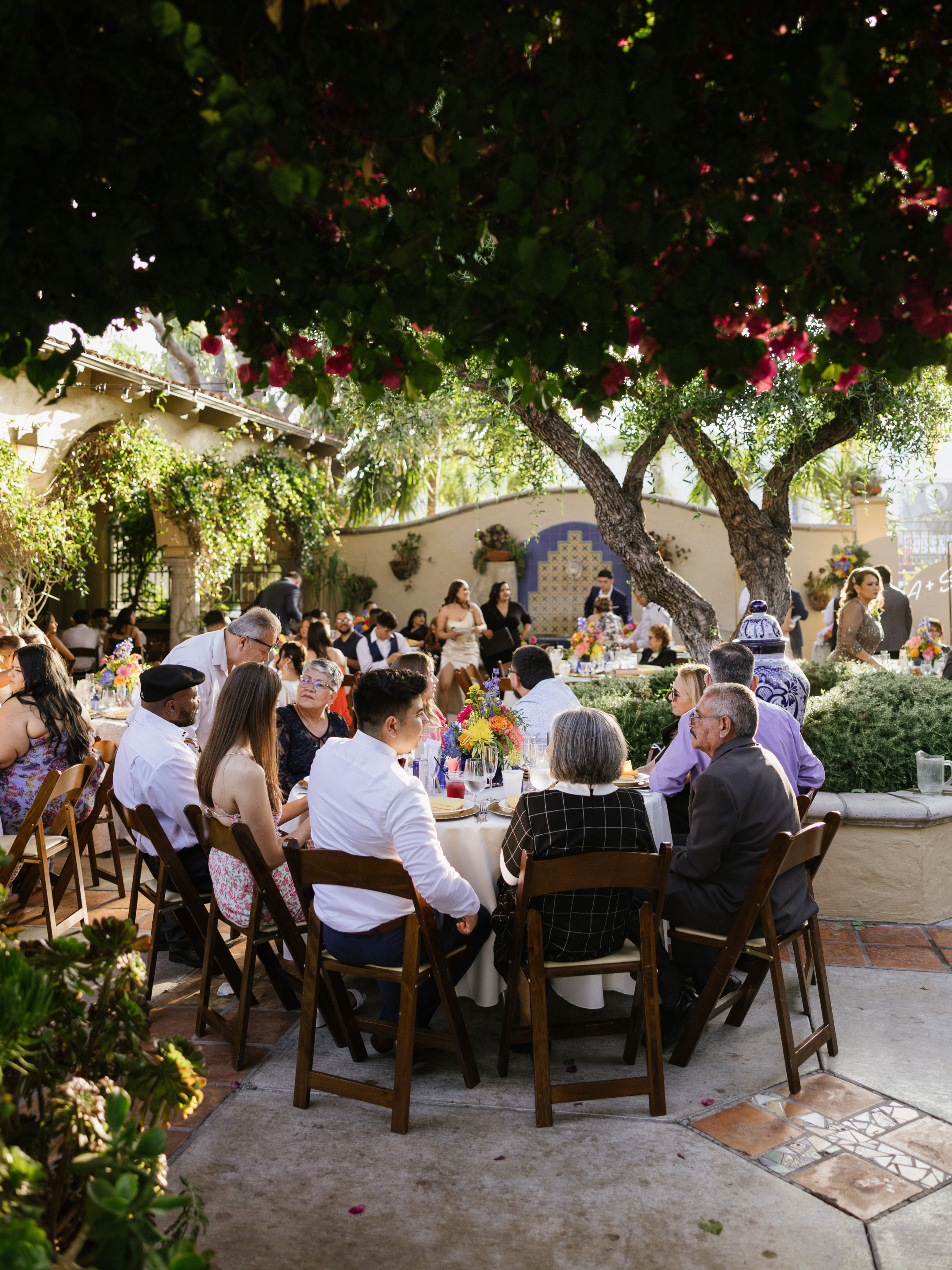 23-06-03 S+A Green Parrot-132