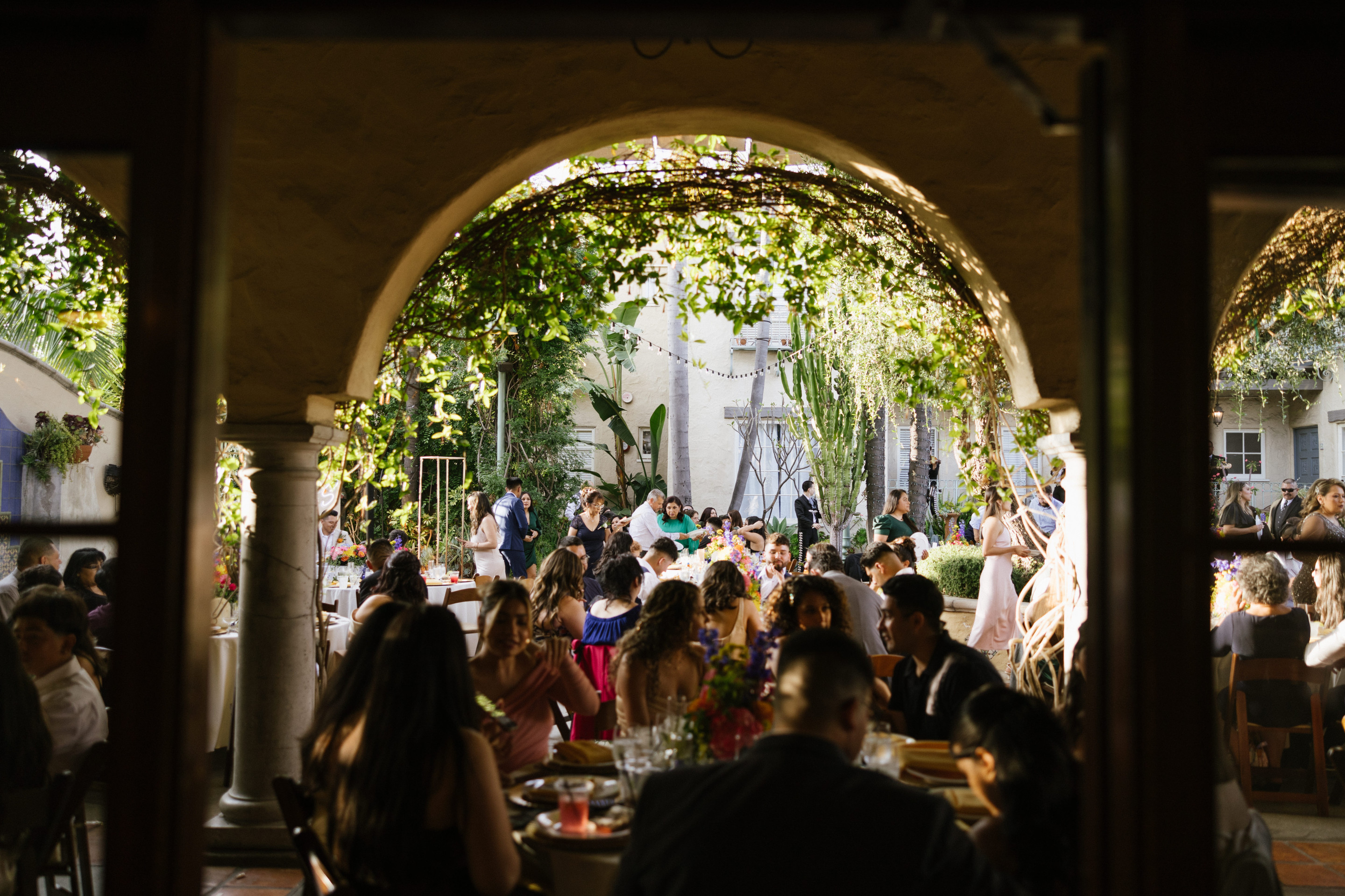 23-06-03 S+A Green Parrot-136