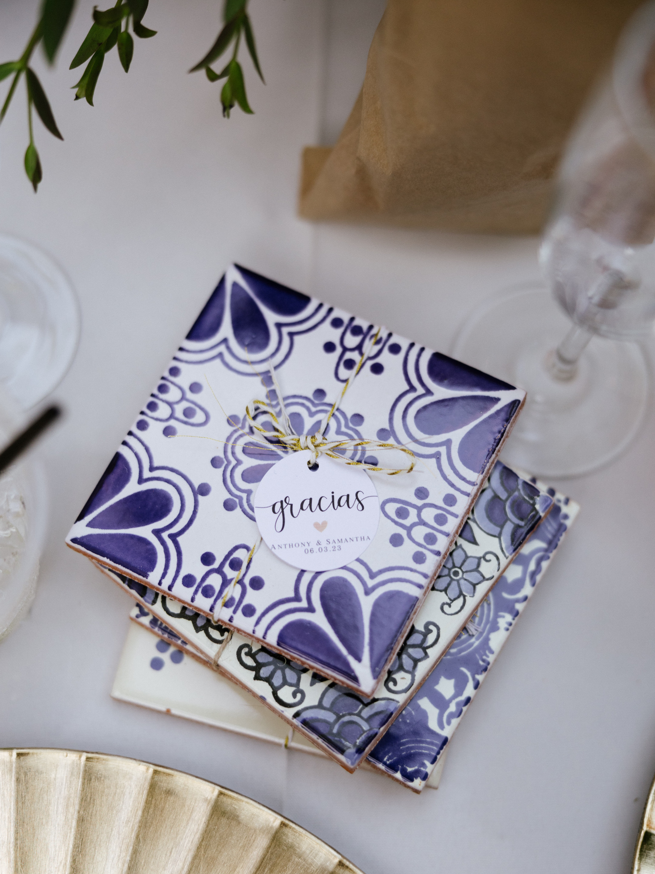 23-06-03 S+A Green Parrot-147