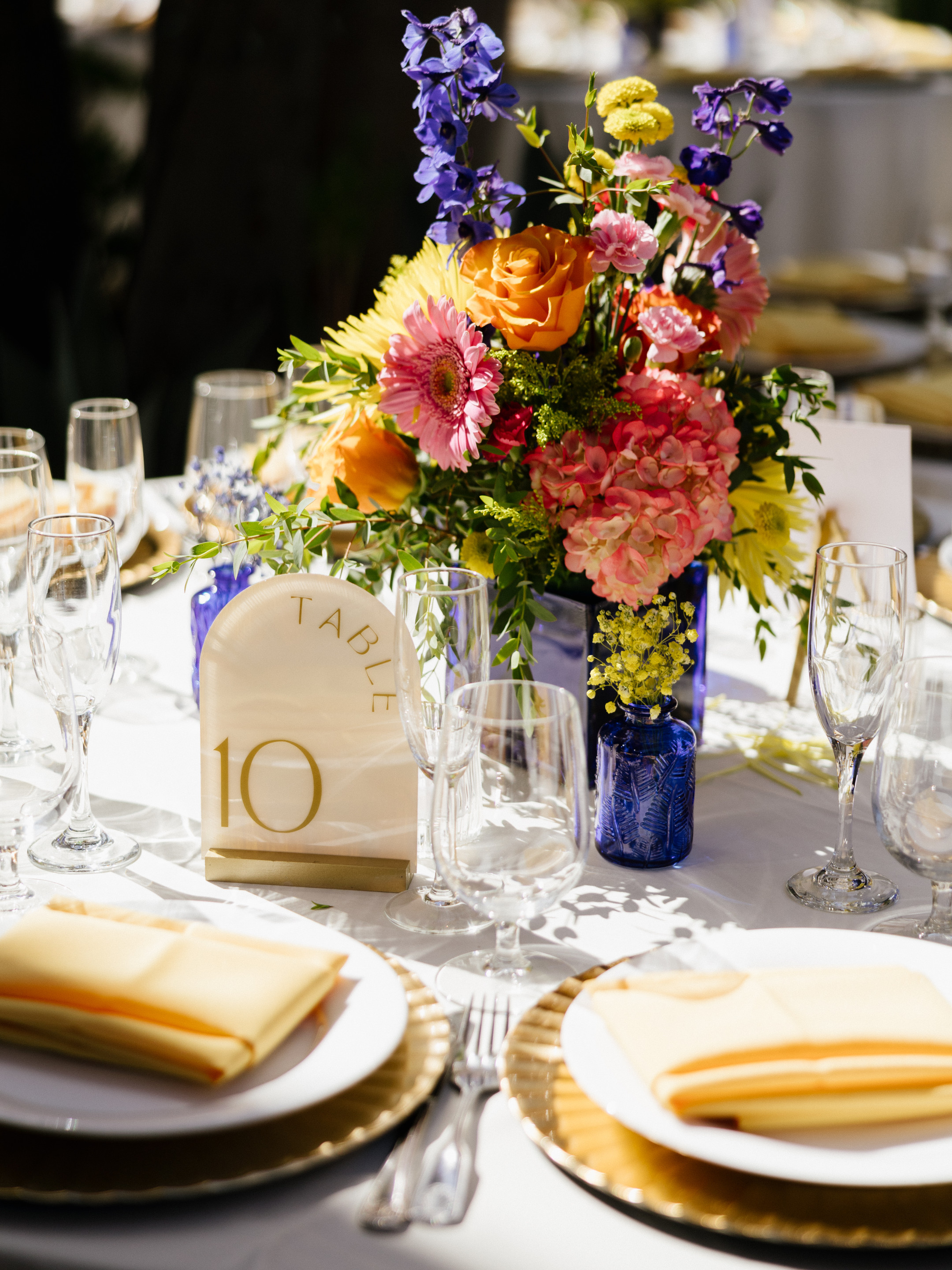 23-06-03 S+A Green Parrot-72