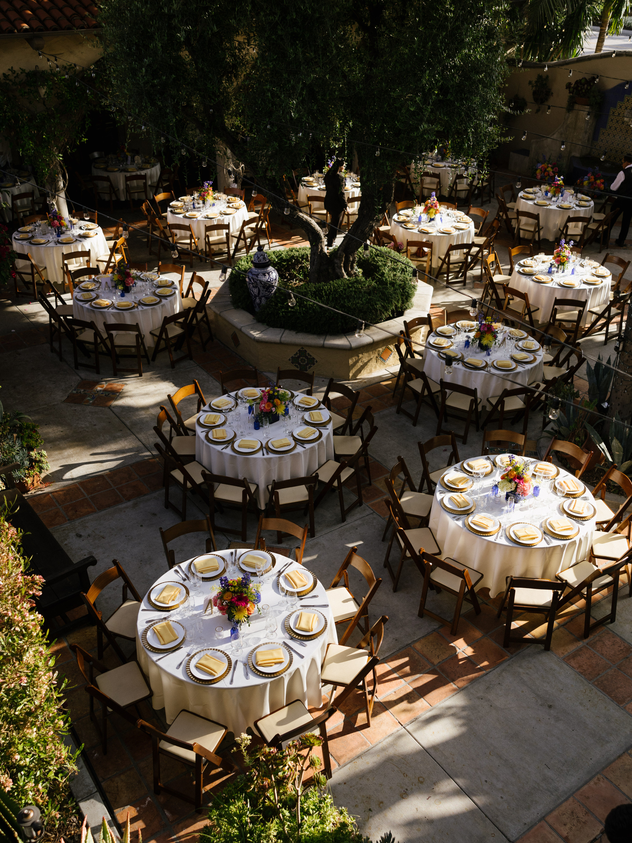 23-06-03 S+A Green Parrot-83