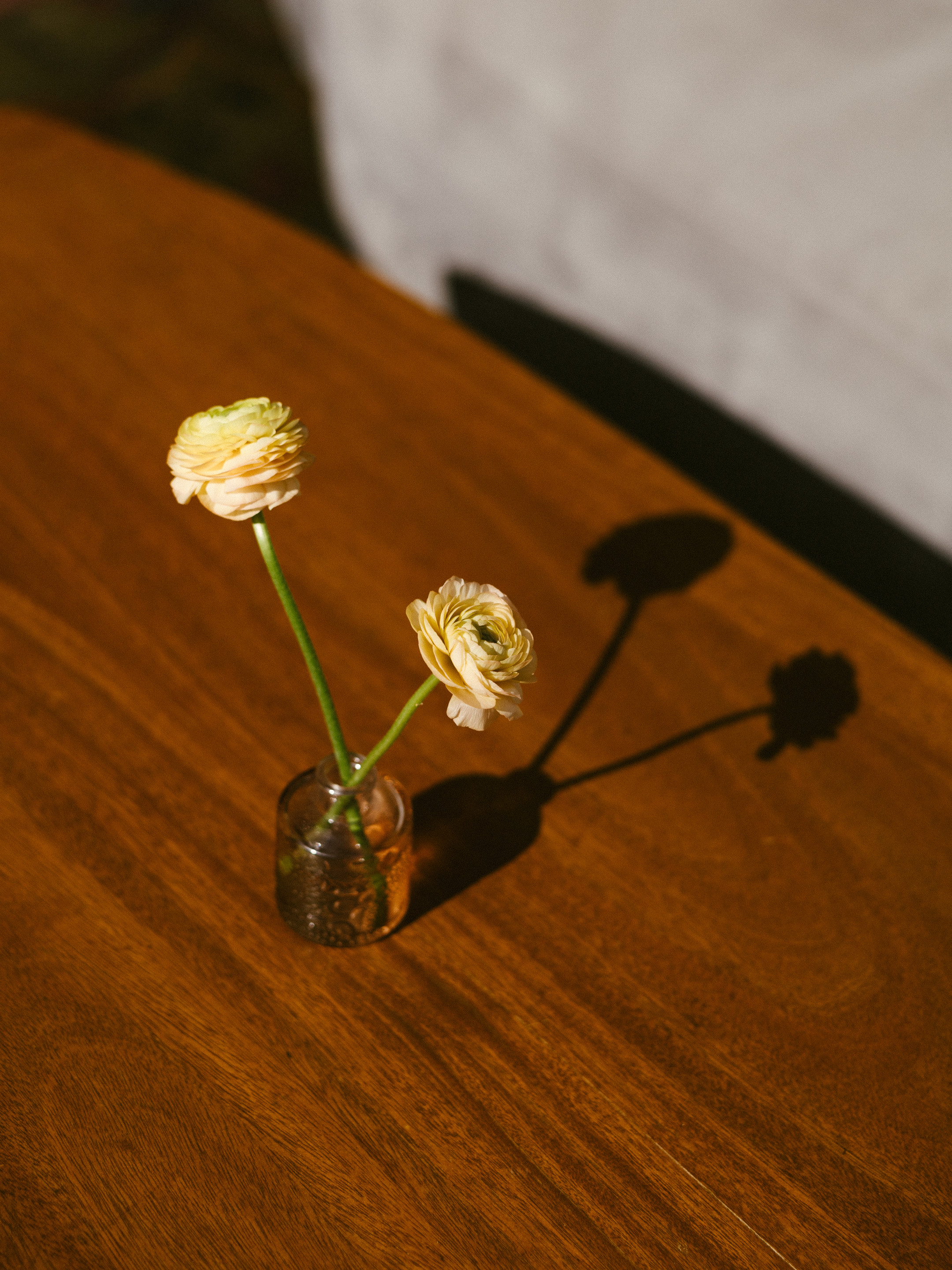 Alexa + Taylor’s Wedding – Jenny Markham Photo-582