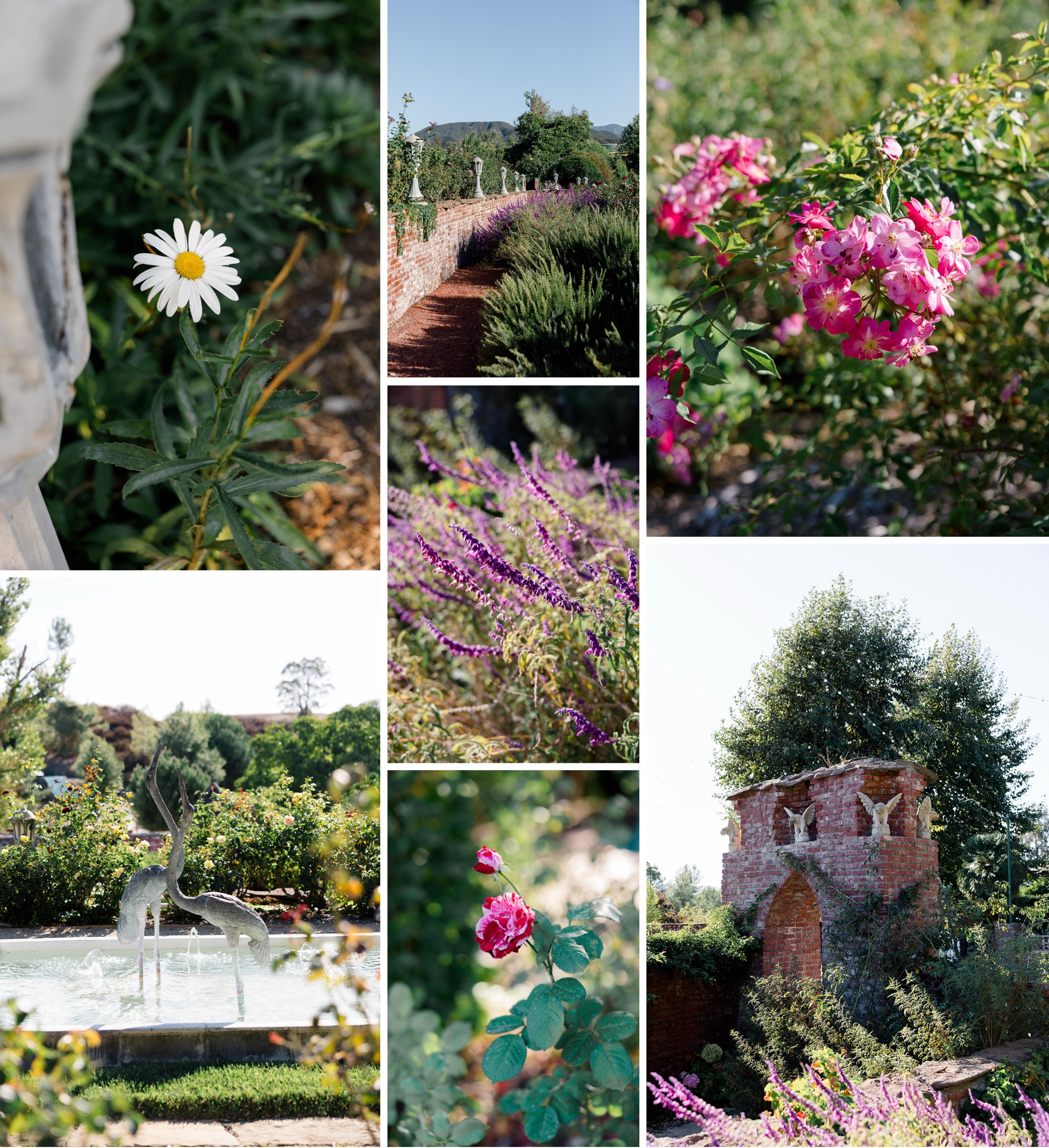 pictures of Ivy Manor Temecula; detail shots by Jenny Markham Photo